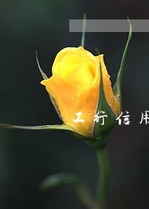 工行信用卡逾期 催收 工行信用卡逾期 催收